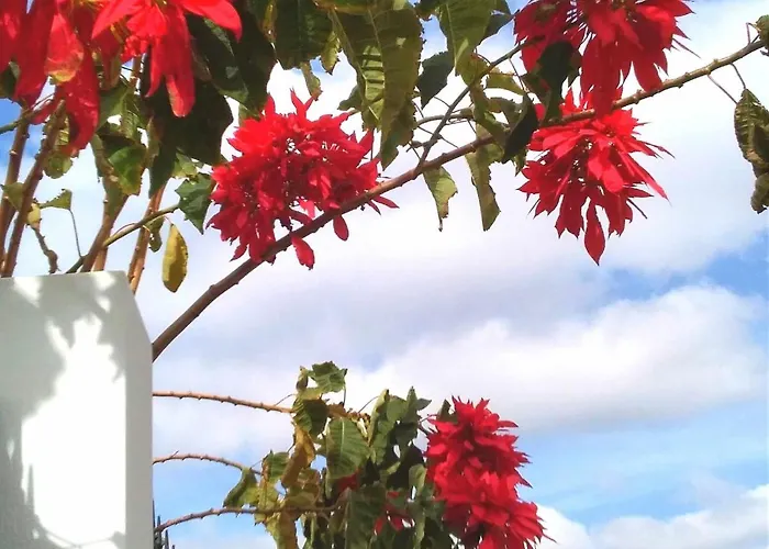 Apartament Azul Vista Mar With Pool Puerto del Carmen (Lanzarote)