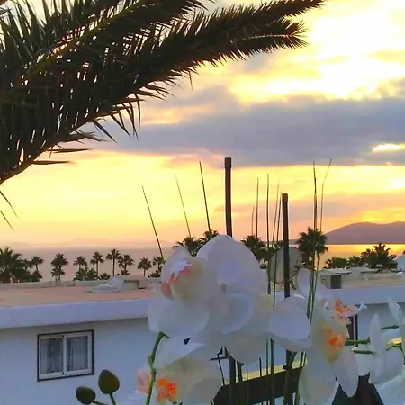 Azul Vista Mar With Pool * Пуерто-дель-Кармен